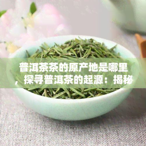 普洱茶茶的原产地是哪里，探寻普洱茶的起源：揭秘其原产地