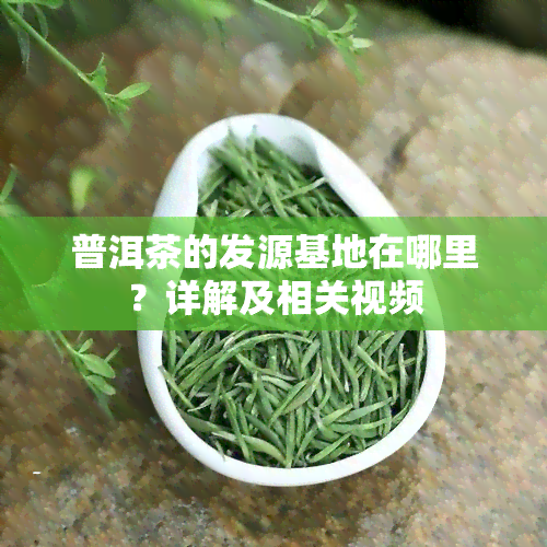 普洱茶的发源基地在哪里？详解及相关视频