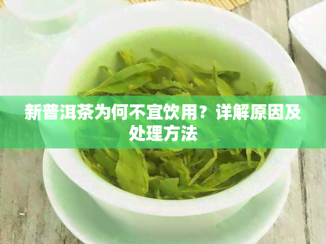 新普洱茶为何不宜饮用？详解原因及处理方法