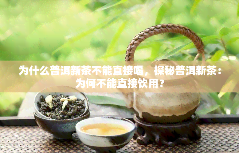 为什么普洱新茶不能直接喝，探秘普洱新茶：为何不能直接饮用？