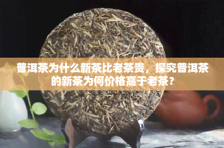 普洱茶为什么新茶比老茶贵，探究普洱茶的新茶为何价格高于老茶？