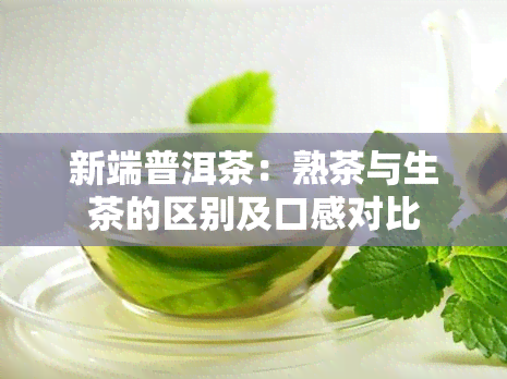 新端普洱茶：熟茶与生茶的区别及口感对比