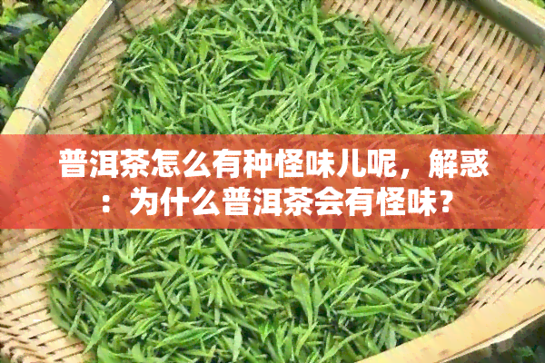 普洱茶怎么有种怪味儿呢，解惑：为什么普洱茶会有怪味？