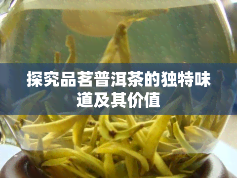 探究品茗普洱茶的独特味道及其价值