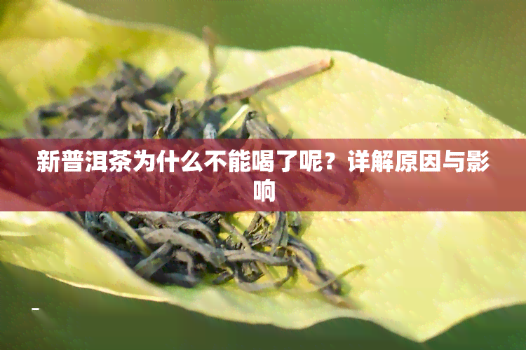 新普洱茶为什么不能喝了呢？详解原因与影响