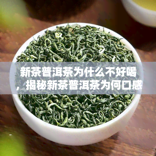 新茶普洱茶为什么不好喝，揭秘新茶普洱茶为何口感不佳？