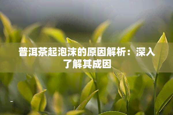 普洱茶起泡沫的原因解析：深入了解其成因