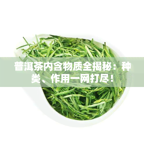 普洱茶内含物质全揭秘：种类、作用一网打尽！