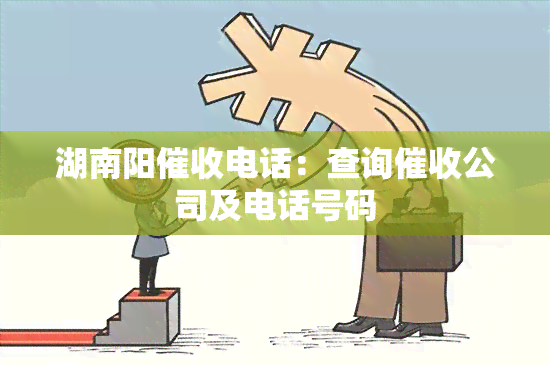 湖南阳电话：查询公司及电话号码