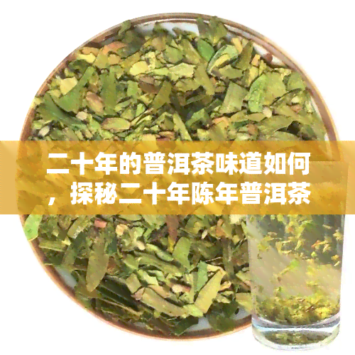 二十年的普洱茶味道如何，探秘二十年陈年普洱茶的独特口感与韵味