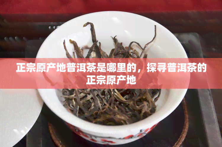 正宗原产地普洱茶是哪里的，探寻普洱茶的正宗原产地