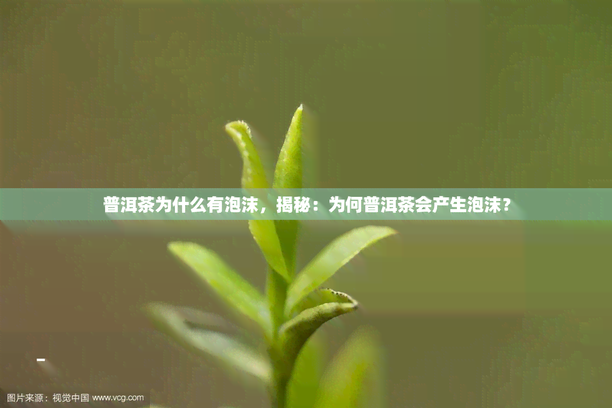 普洱茶为什么有泡沫，揭秘：为何普洱茶会产生泡沫？