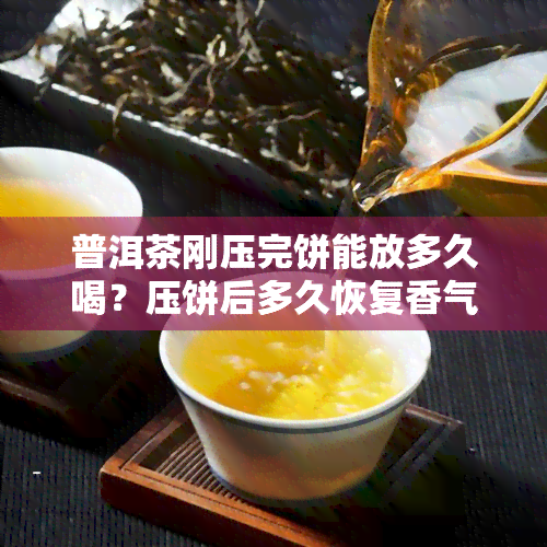 普洱茶刚压完饼能放多久喝？压饼后多久恢复香气？