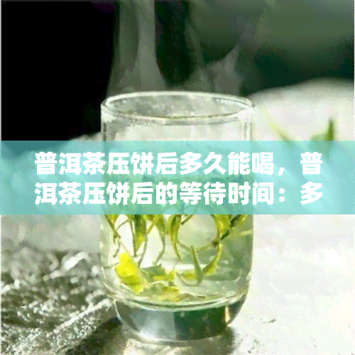 普洱茶压饼后多久能喝，普洱茶压饼后的等待时间：多久可以品尝？