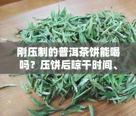 刚压制的普洱茶饼能喝吗？压饼后晾干时间、烘干方法与冲泡技巧全解析