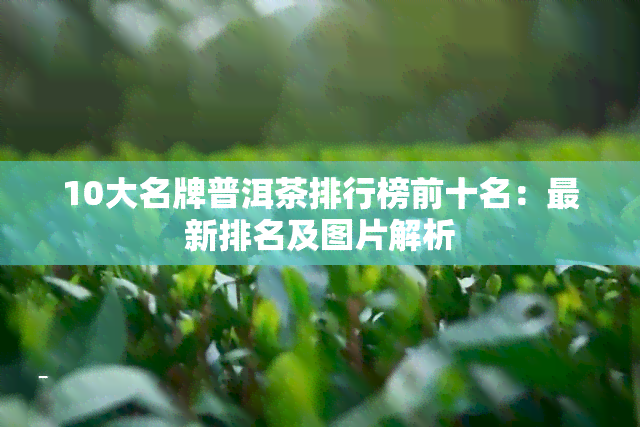 10大名牌普洱茶排行榜前十名：最新排名及图片解析