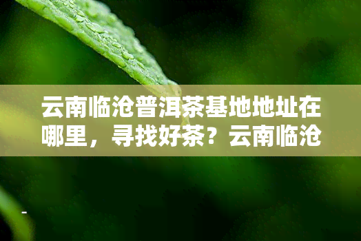 云南临沧普洱茶基地地址在哪里，寻找好茶？云南临沧普洱茶基地地址全攻略！