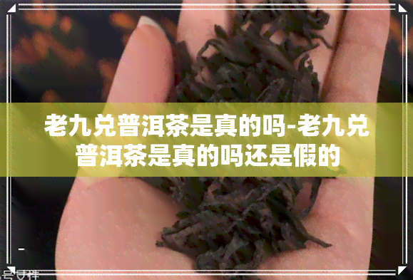 老九兑普洱茶是真的吗-老九兑普洱茶是真的吗还是假的