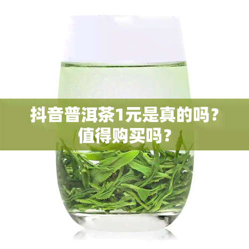 抖音普洱茶1元是真的吗？值得购买吗？