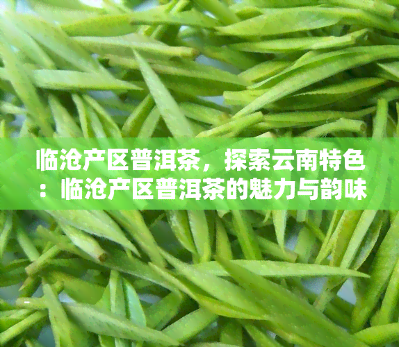 临沧产区普洱茶，探索云南特色：临沧产区普洱茶的魅力与韵味