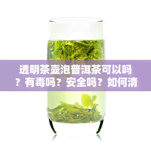 透明茶壶泡普洱茶可以吗？有吗？安全吗？如何清洗？