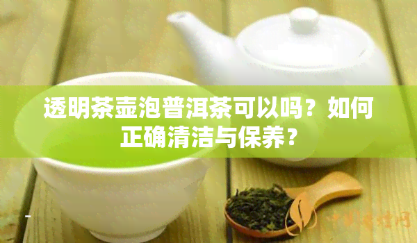 透明茶壶泡普洱茶可以吗？如何正确清洁与保养？