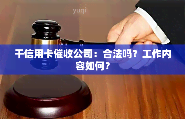 干信用卡公司：合法吗？工作内容如何？