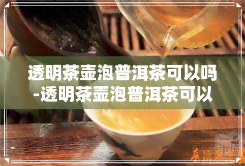 透明茶壶泡普洱茶可以吗-透明茶壶泡普洱茶可以吗有吗