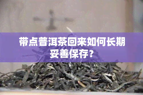 带点普洱茶回来如何长期妥善保存？