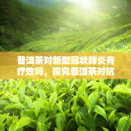 普洱茶对新型冠状有疗效吗，探究普洱茶对抗新型冠状的效果