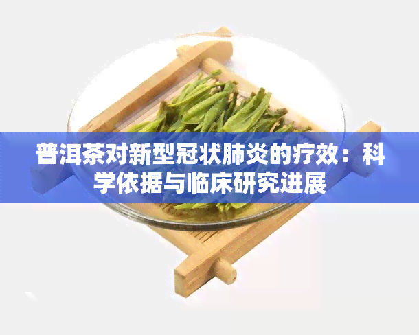 普洱茶对新型冠状的疗效：科学依据与临床研究进展