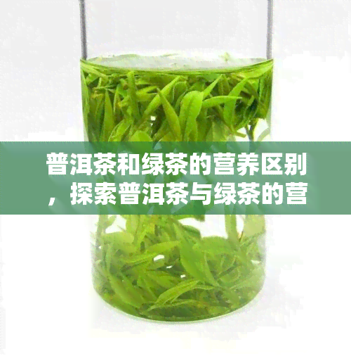 普洱茶和绿茶的营养区别，探索普洱茶与绿茶的营养差异：一次全面的比较