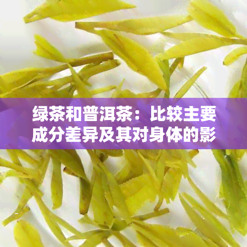 绿茶和普洱茶：比较主要成分差异及其对身体的影响。