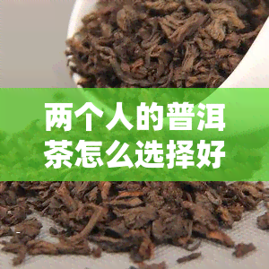 两个人的普洱茶怎么选择好？从品种、年份到口感全解析！