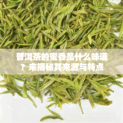 普洱茶的蜜香是什么味道？来揭秘其来源与特点