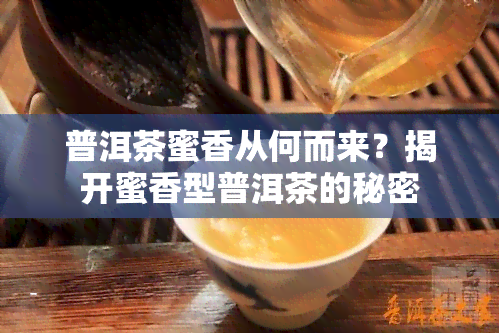 普洱茶蜜香从何而来？揭开蜜香型普洱茶的秘密