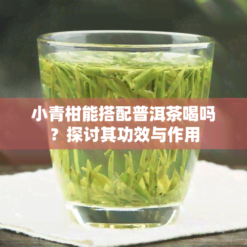 小青柑能搭配普洱茶喝吗？探讨其功效与作用