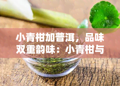 小青柑加普洱，品味双重韵味：小青柑与普洱的完美搭配