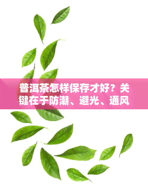 普洱茶怎样保存才好？关键在于防潮、避光、通风，存放在阴凉干燥处，定期检查，避免异味影响口感。