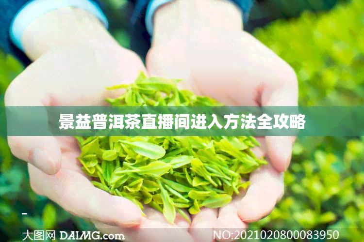 景益普洱茶直播间进入方法全攻略