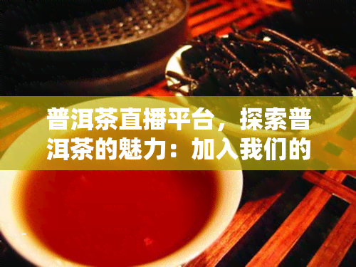 普洱茶直播平台，探索普洱茶的魅力：加入我们的直播平台，一探究竟！