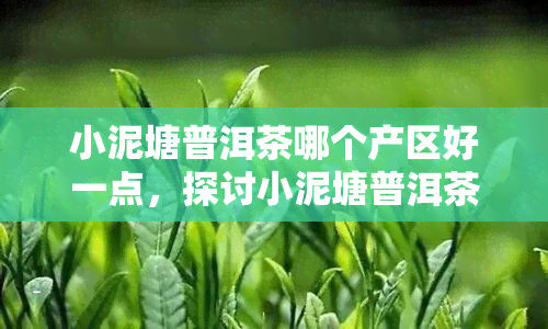 小泥塘普洱茶哪个产区好一点，探讨小泥塘普洱茶的产地优劣，哪个产区更胜一筹？