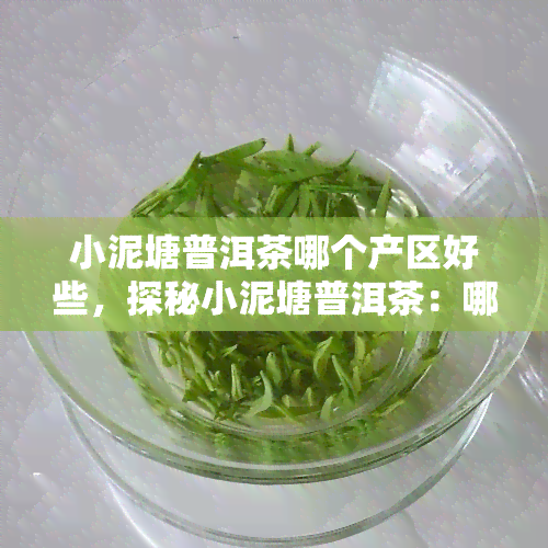 小泥塘普洱茶哪个产区好些，探秘小泥塘普洱茶：哪些产区的品质更优？