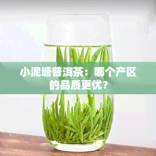 小泥塘普洱茶：哪个产区的品质更优？