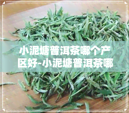 小泥塘普洱茶哪个产区好-小泥塘普洱茶哪个产区好一点