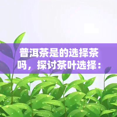 普洱茶是的选择茶吗，探讨茶叶选择：普洱茶是否是的选择？