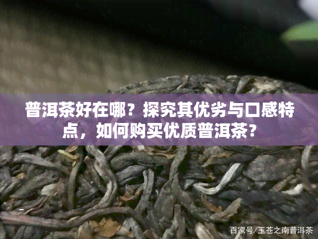 普洱茶好在哪？探究其优劣与口感特点，如何购买优质普洱茶？