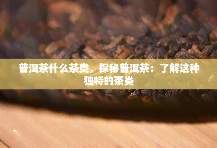 普洱茶什么茶类，探秘普洱茶：了解这种独特的茶类