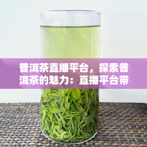 普洱茶直播平台，探索普洱茶的魅力：直播平台带你领略云南的茶叶文化