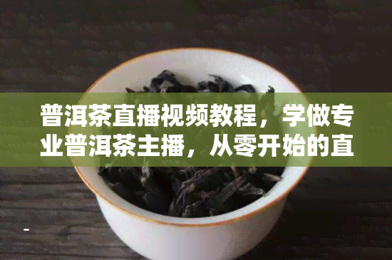 普洱茶直播视频教程，学做专业普洱茶主播，从零开始的直播视频教程